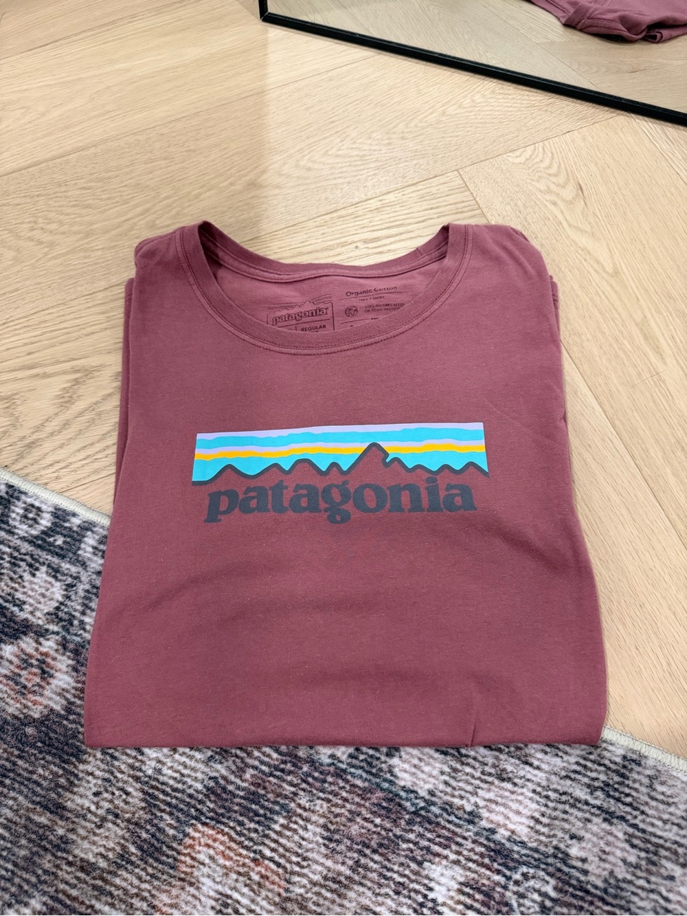 Patagonia Short Sleeve Tee in Maroon with Multicolor Logo